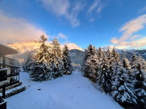 THE ALPINE STUDIO sur les pistes, parking privé, proche du lac Frience